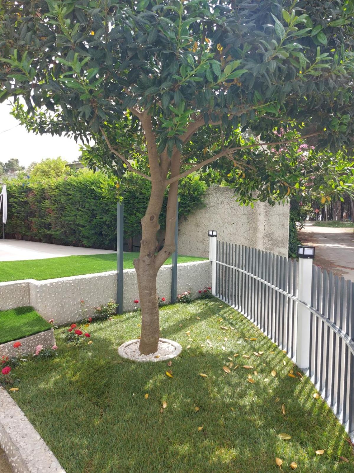Vila Green Relax Vlorë Εξωτερικό φωτογραφία
